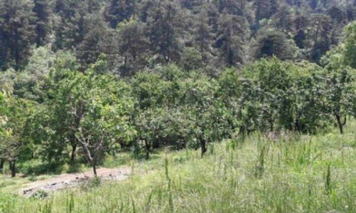 Bursa Nilüfer’de 8.746 m² arsa mahkemeden satılıktır