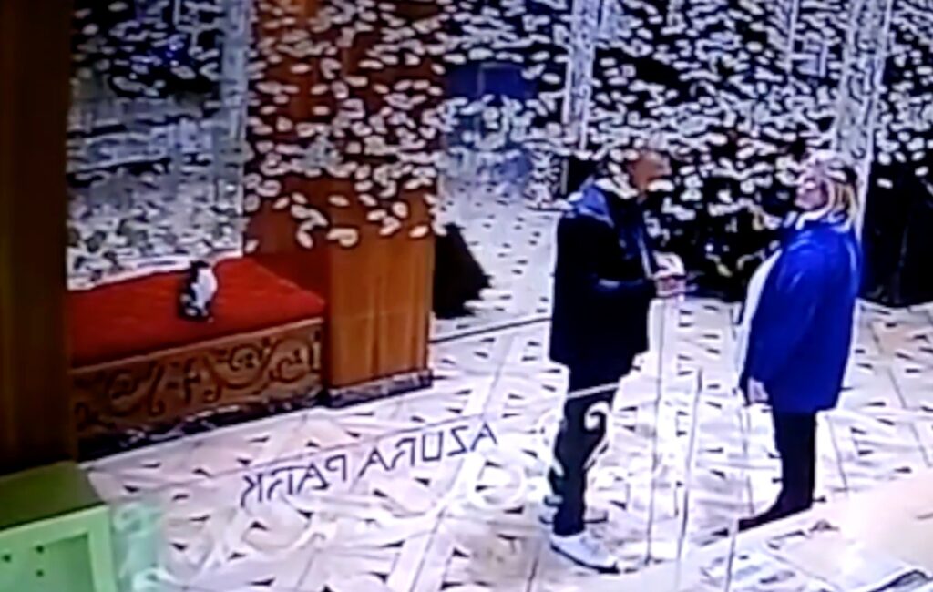 Kendi halindeki kediye tekme attı