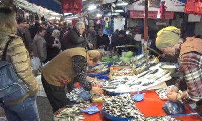 Havalar soğudu, balık tezgahlarına bereket geldi