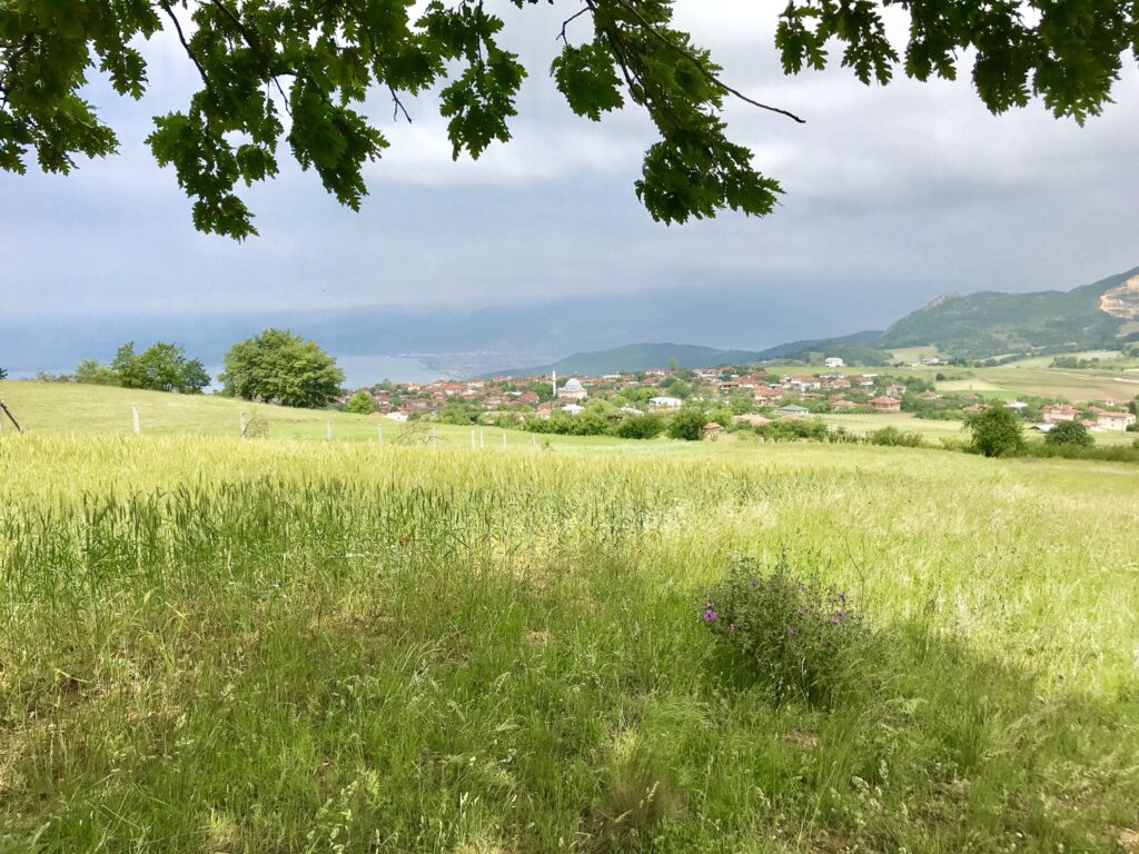 Bursa İznik’te 8.985 m² tarla icradan satılıktır