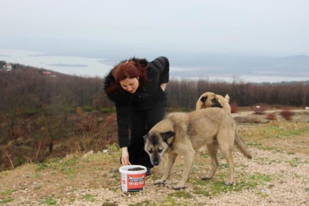 Kırsaldaki sokak hayvanları unutulmadı