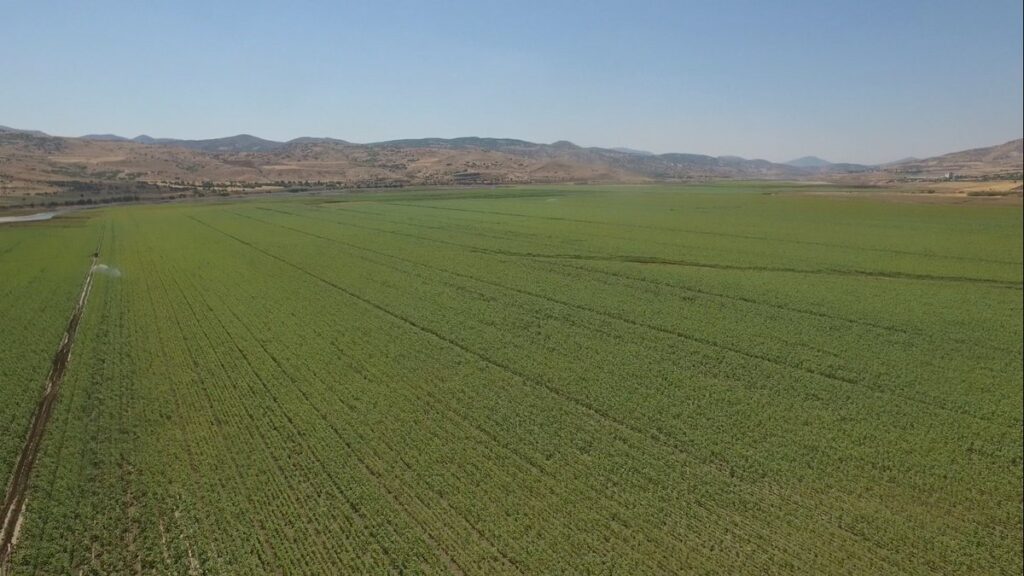 Bursa Gürsu 10.383 m² arsa mahkemeden satılıktır