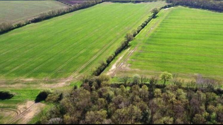 İnegöl’de tarla icradan satılıktır