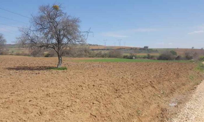 Bursa Nilüfer’de 4.350 m² tarla mahkemeden satılıktır