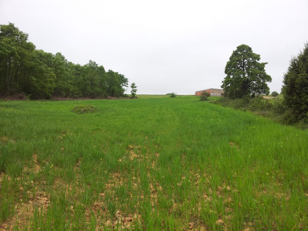 Bursa Yenişehir’de 10.957 m² tarla mahkemeden satılıktır (çoklu satış)