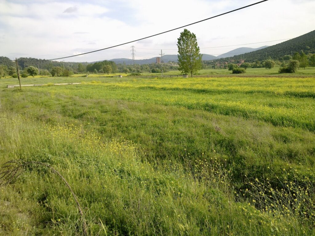 Bursa Orhaneli’de 6.650 m² tarla icradan satılıktır