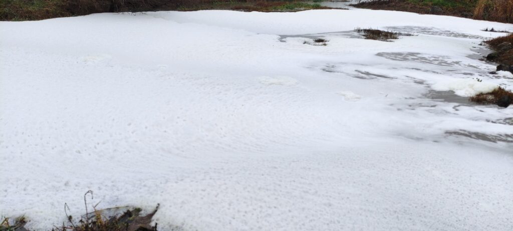 Uluabat Gölü’ne akan derelerde “beyaz köpük” paniği