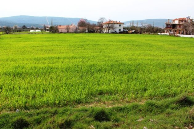 Bursa Nilüfer’de 4.005 m² tarla mahkemeden satılıktır