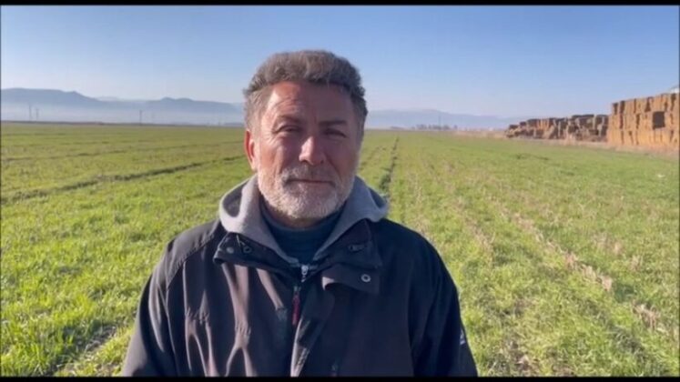 Narenciye üreticisi acil yardım bekliyor