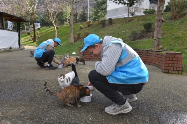 Can dostlarına “Yıldırım” şefkati