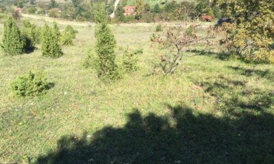 Bursa Gemlik’te 1.054 m² arsa mahkemeden satılıktır