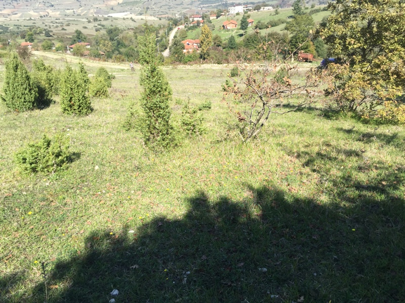 Bursa Gemlik’te 1.054 m² arsa mahkemeden satılıktır