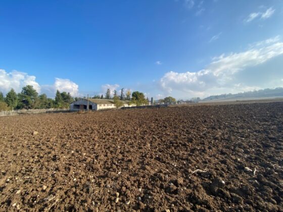 Yenişehir’de satılık tarla