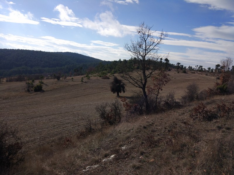 Bursa Keles’te 6.000 m² tarla icradan satılıktır (çoklu satış)