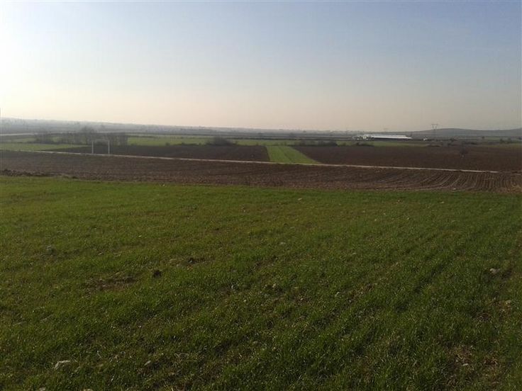 Bursa Yenişehir’de 2.300 m² tarla icradan satılıktır