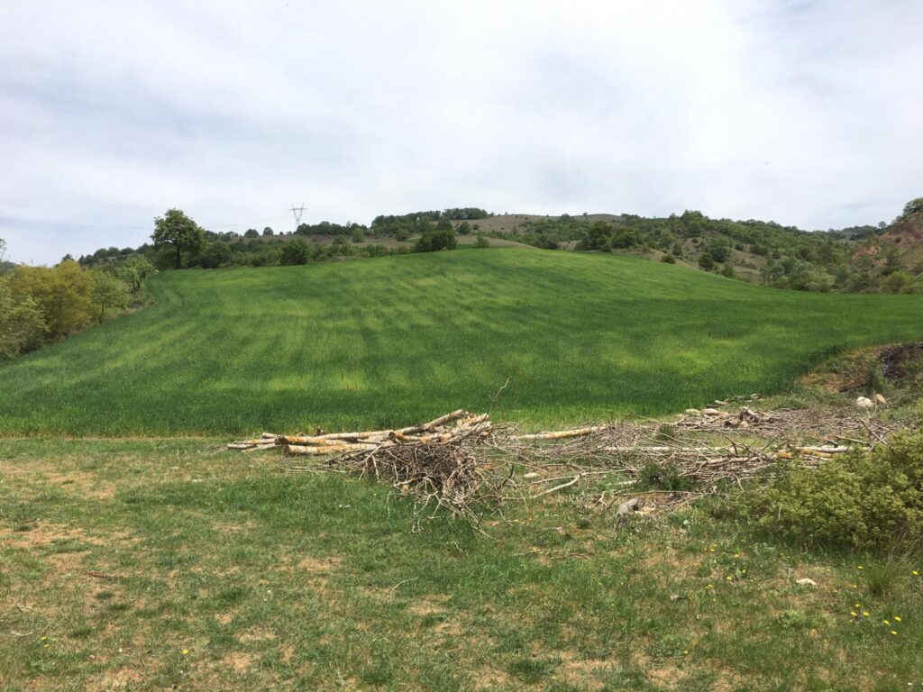 Bursa İznik’te 9.270 m² tarla icradan satılıktır (çoklu satış)