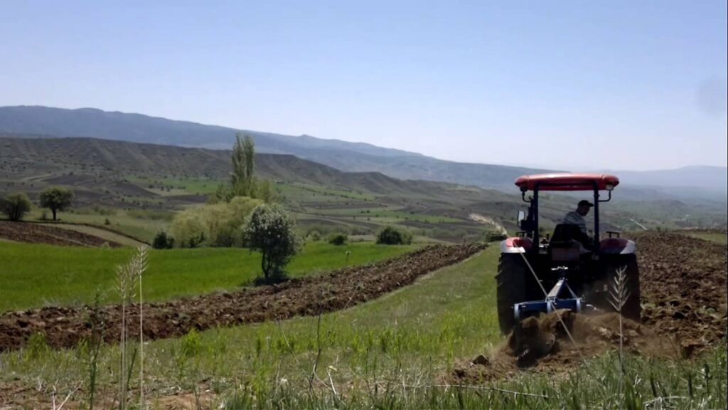 Bursa Yenişehir’de 6.000 m² tarla icradan satılıktır