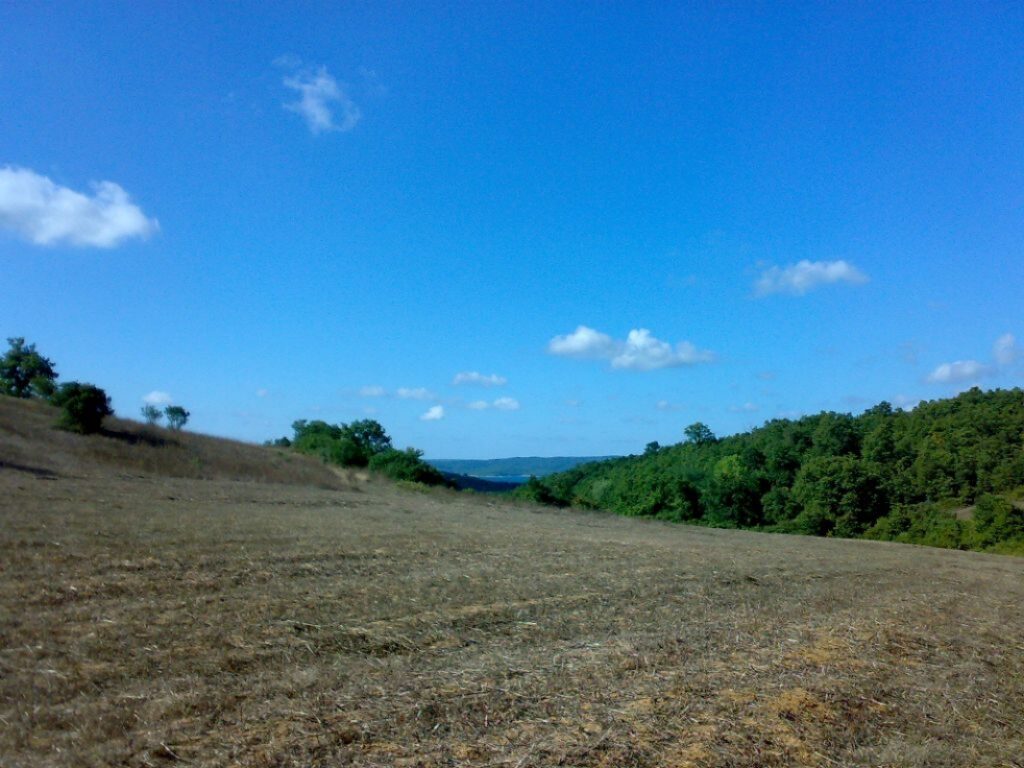 Bursa İnegöl’de 4.600 m² tarla icradan satılıktır