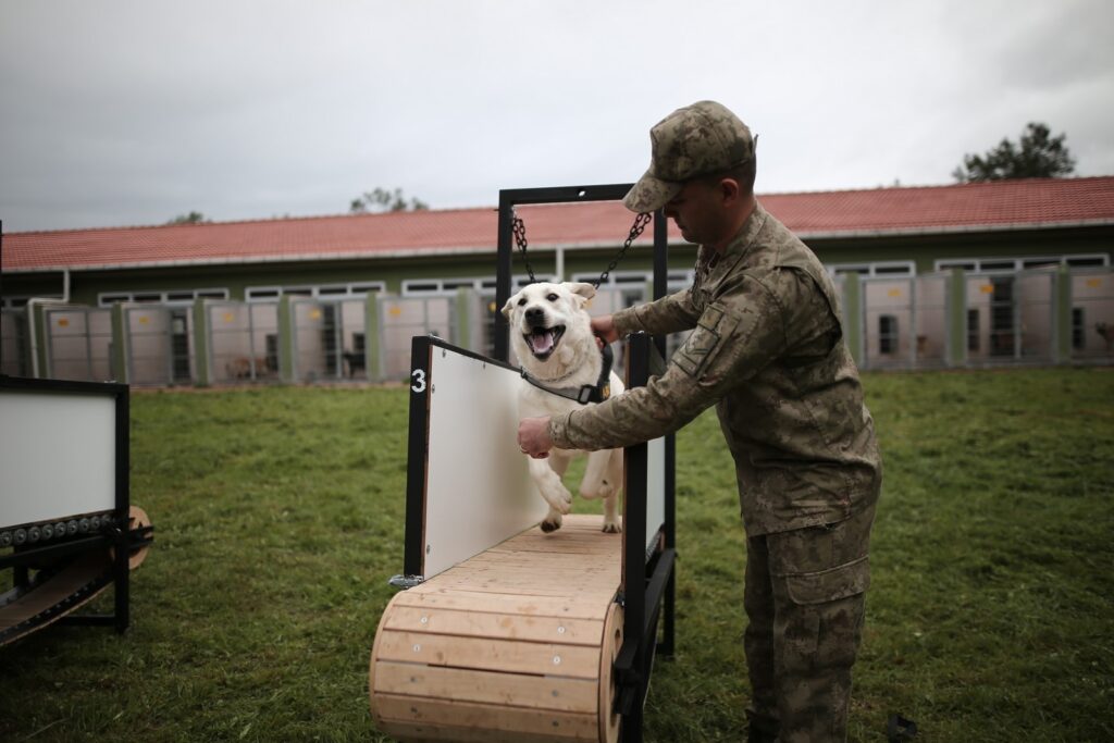 Depremin kahramanları…Böyle yetiştiriliyorlar