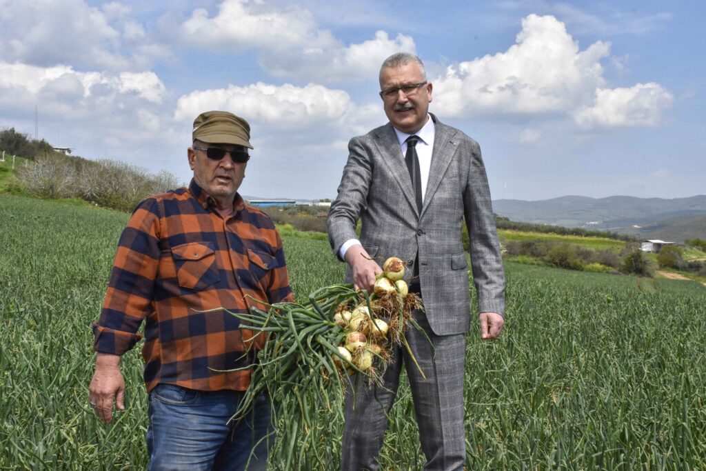 Soğan fiyatları bayramdan sonra düşecek