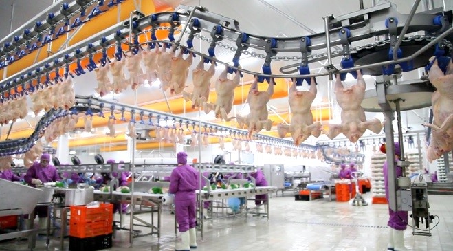 Beyaz et üretiminde ileri, tüketiminde ise dünyadan geriyiz…