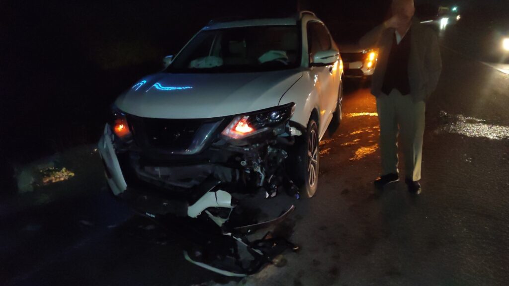 Ana yola fırlayan domuz sürüsüne araçlar çarptı