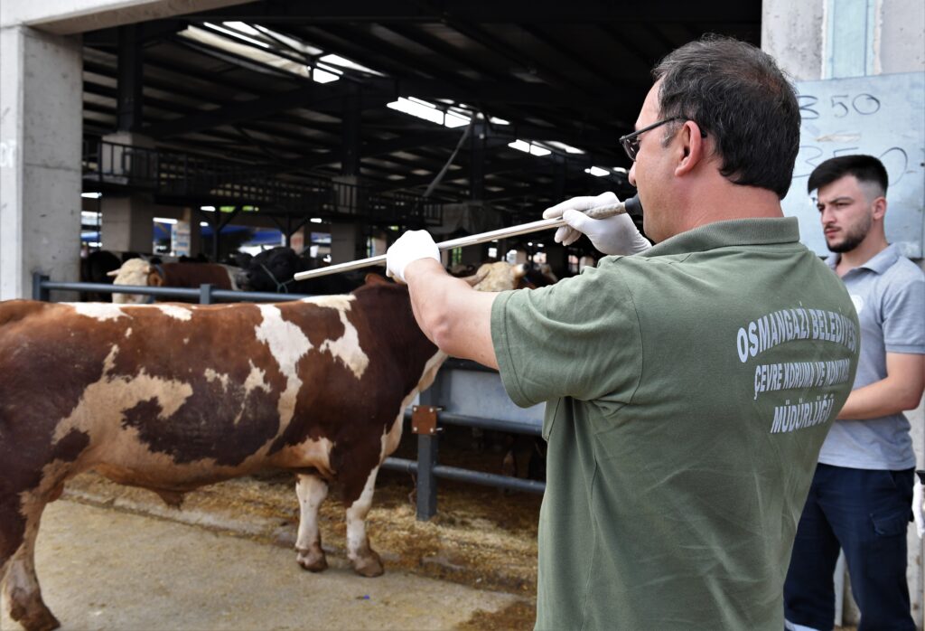 Osmangazi’de kurban yakalama timleri göreve hazı
