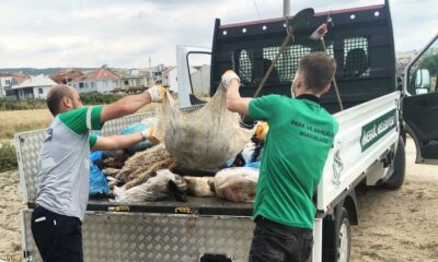 İnegöl Belediyesi 300 ton kurban atığı topladı