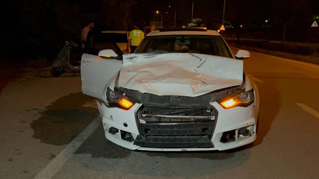 Otomobilin çarptığı hayvan telef oldu