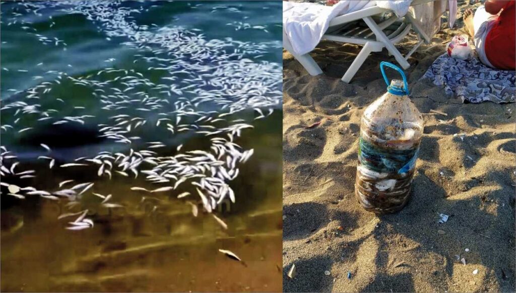 Yakalanacaklarını anlayınca tonlarca yavru mezgiti döküp kaçtılar