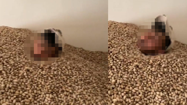 Fıstık deposunda tepki çeken görüntü