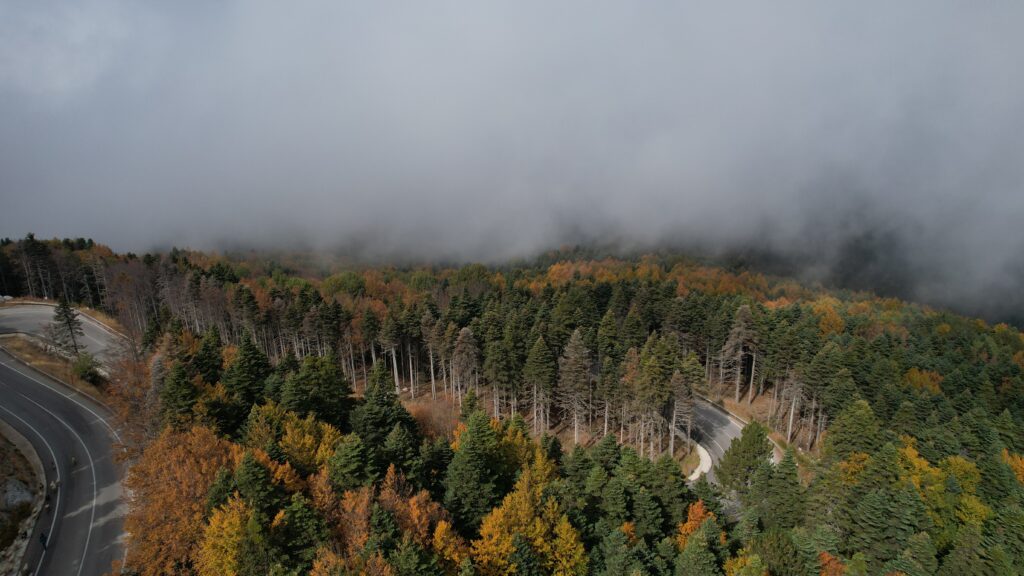 Uludağ’da sonbahar şöleni