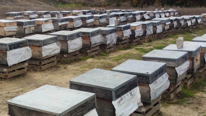 Orhaneli’de arılı kovan sayısı arttı