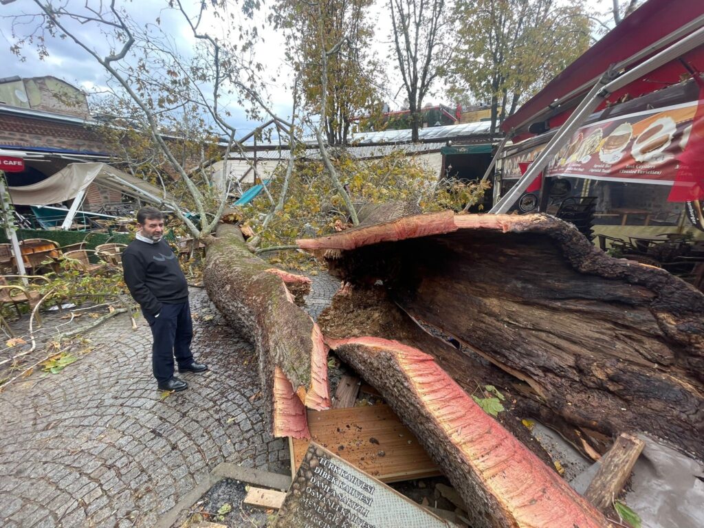 Tarihi Kozahan’da 250 yaşındaki tarihi çınar fırtınaya dayanamadı