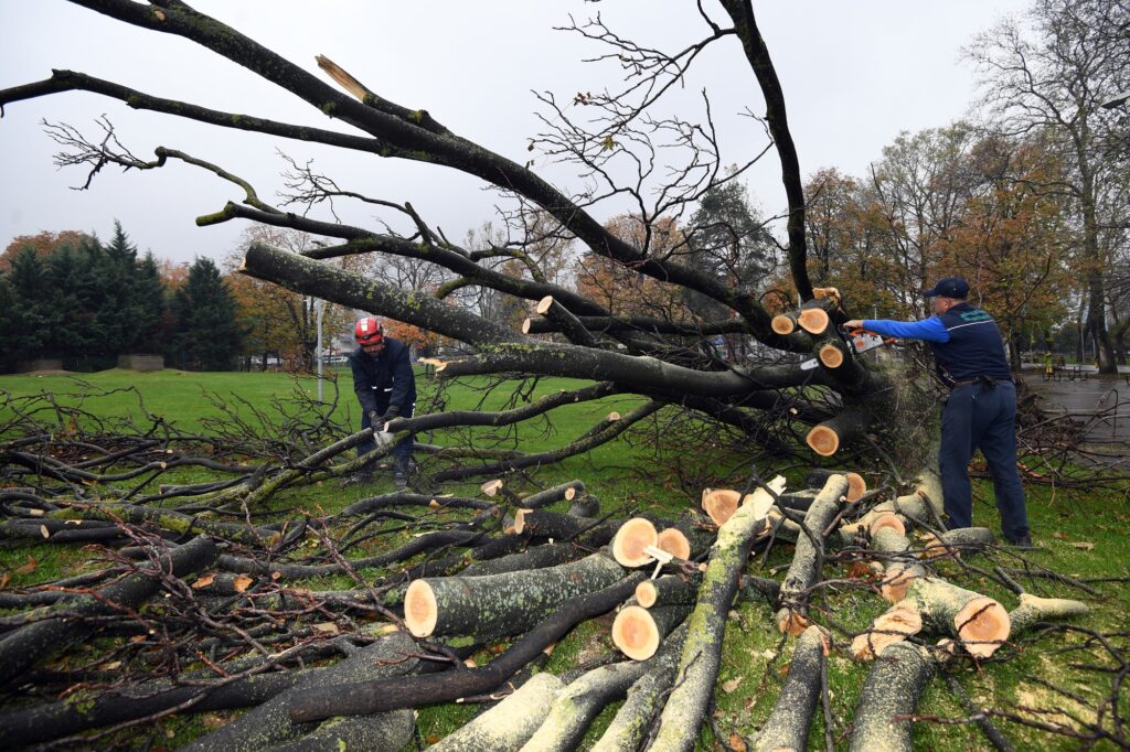 Osmangazi’de lodosun yıktıkları temizleniyor