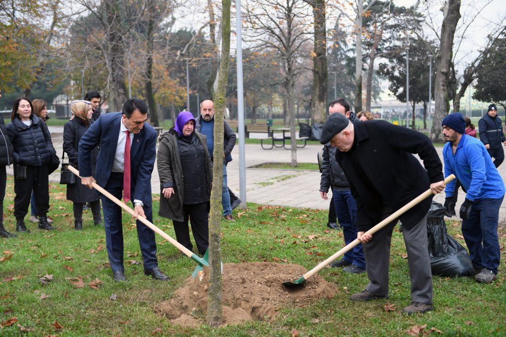 Şiddetli lodosta yıkılan ağaçların yerine yenileri dikiliyor
