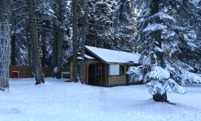 Uludağ’a kar yağdı, Orman Evleri’ne ilgi arttı
