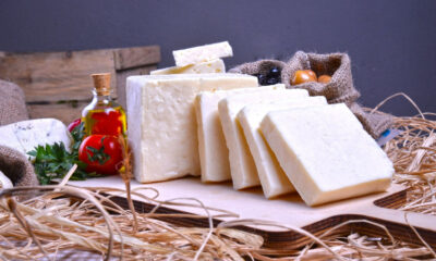 Ezine peyniri, Avrupa Birliği’nden coğrafi işaret tescili aldı.