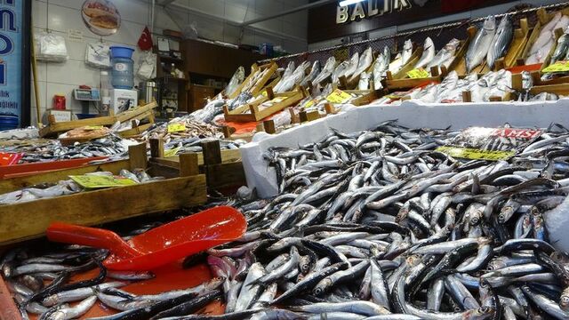 Tezgahlarda bolca bulunan hamsi 160 TL’ye satılırken, lüfer 360, turna mezgit 500 TL