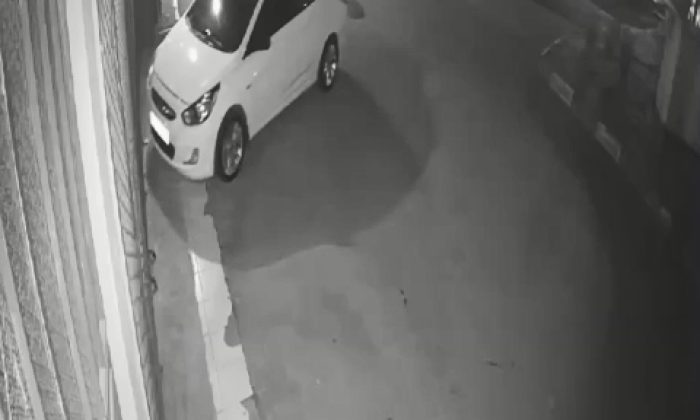 El freni çekilmeyen otomobili lodos sürdü