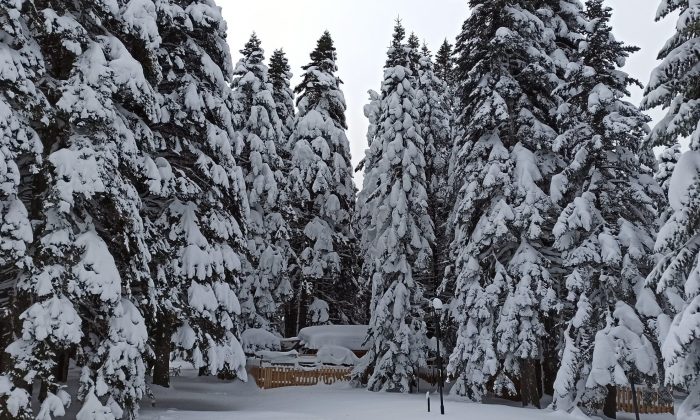 Uludağ’da kar kalınlığı 76 santimetreye ulaştı