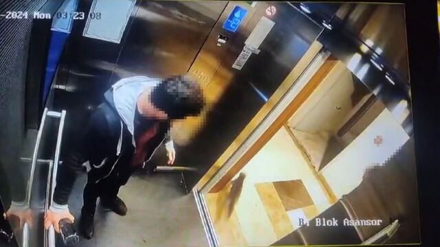 Kedi vahşetinde tahliyenin gerekçesi belli oldu!