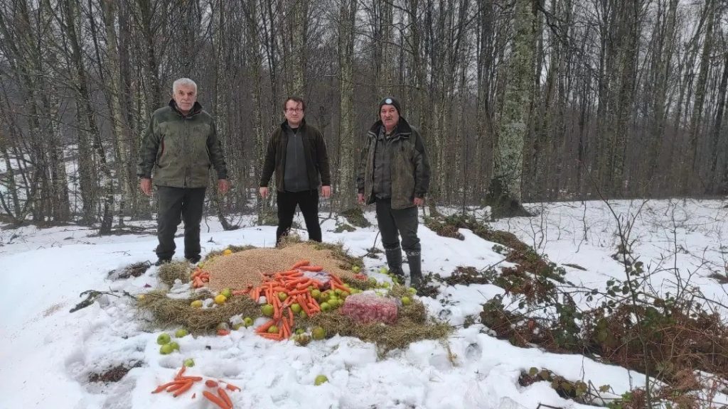 Yaban hayvanları için doğaya yem bırakıldı