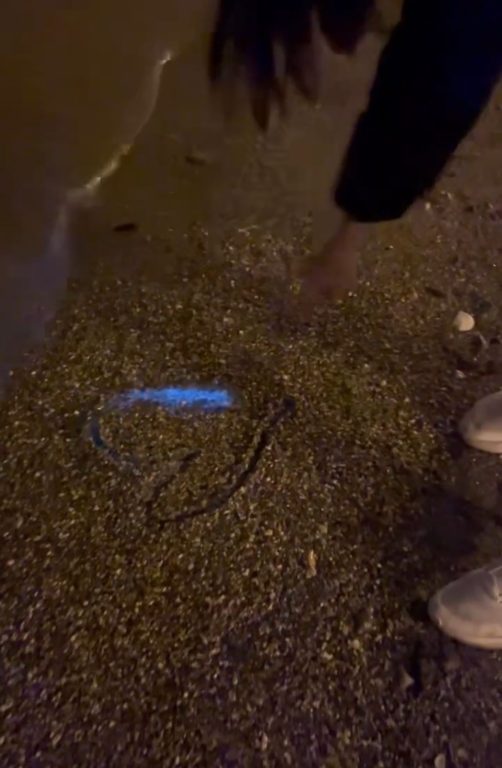 Mudanya’da denizi maviye boyandı, görenler şaşkına döndü