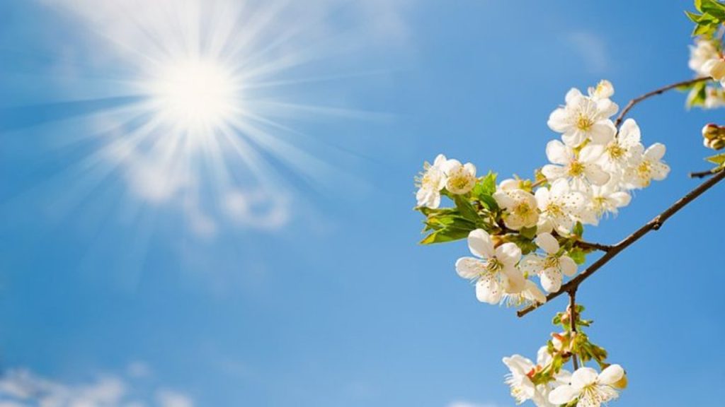 “Erken ilkbahar değerlendirmesi: Sıcaklık 20 dereceyi aşacak”