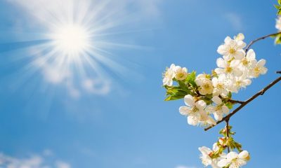 “Erken ilkbahar değerlendirmesi: Sıcaklık 20 dereceyi aşacak”