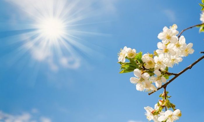 “Erken ilkbahar değerlendirmesi: Sıcaklık 20 dereceyi aşacak”
