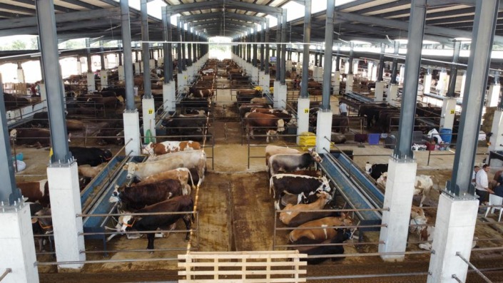 İnegöl Hayvan Pazarının Kotra İhale Tarihi Belli Oldu