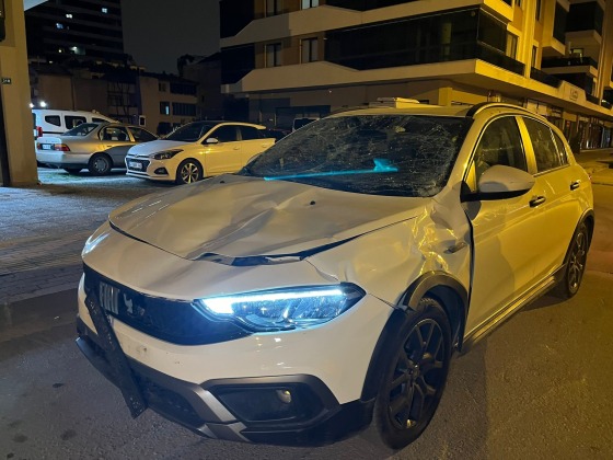 Bursa’da seyir halindeki otomobile at çarptı…