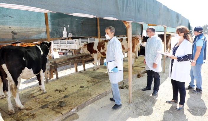 Mudanya’da hayvan pazarı yer değişikliği